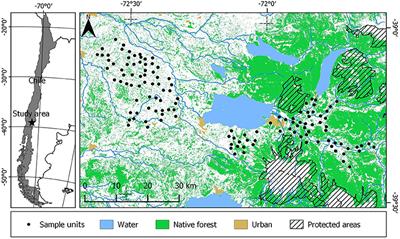 Drivers of Predator Killing by Rural Residents and Recommendations for Fostering Coexistence in Agricultural Landscapes